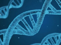 Первый созданный компьютером геном может стать основой для синтетической жизни