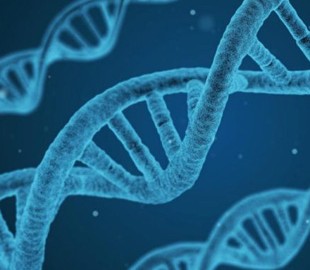 Первый созданный компьютером геном может стать основой для синтетической жизни