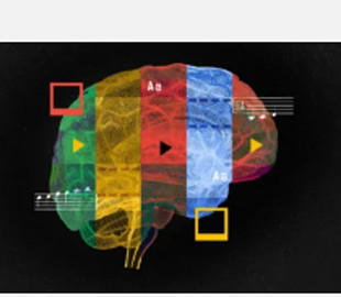 Google запустить власну нейромережу для створення відеоконтенту