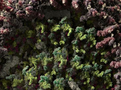 Представлена наиболее достоверная 3D-модель коронавируса