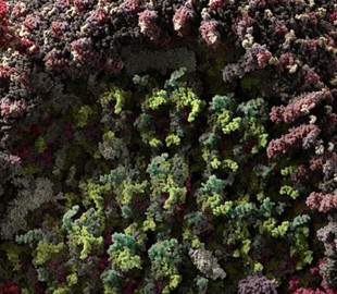 Представлена наиболее достоверная 3D-модель коронавируса