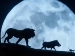 Сеть покорила реакция собаки на один из моментов в мультике