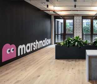 Британський стартап Marshmallow залучив $90 млн інвестицій і вперше досяг оцінки понад $2 млрд