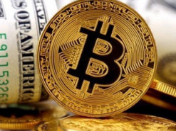 Бывший депутат Европарламента впервые инвестировал в биткоин