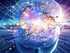 ИИ увеличит число успешных трансплантаций почек вдвое