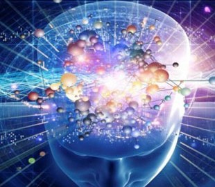 ИИ увеличит число успешных трансплантаций почек вдвое