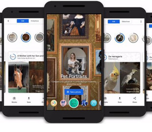 Google запустил функцию по поиску питомцев на картинах известных художников