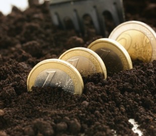 Киберворы украли 150 тысяч у агрофирмы