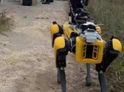Робособака Boston Dynamics помогла исследовать радиоактивность в Чернобыльской зоне