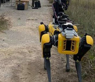 Робособака Boston Dynamics помогла исследовать радиоактивность в Чернобыльской зоне