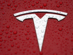 Акции Tesla выросли вдвое за последние 6 месяцев