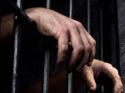 Мужчина получил срок за скачивание программ без лицензии