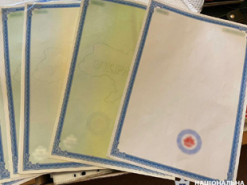 В Киеве группа мошенников выдавала поддельные сертификаты на импортируемые автомобили