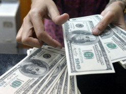 Дружина нардепа в березні вивезла за кордон понад $ 500 тисяч