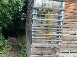 У Дніпрі жорстоко вбили і розчленували чоловіка: страшні подробиці