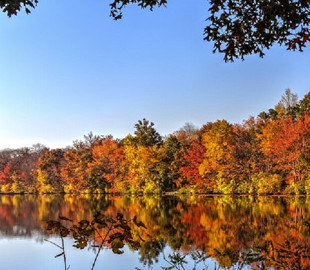 В Україну йде південний антициклон: яку погоду він принесе