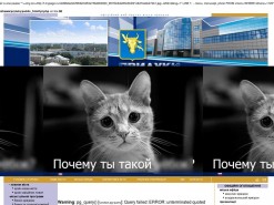 Информационный "стриптиз" государственных сайтов продолжается