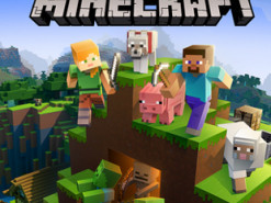 Программист запустил Minecraft на фотоаппарате Canon