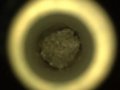 Perseverance продолжает собирать образцы: марсоход нашел на Марсе "земной" минерал