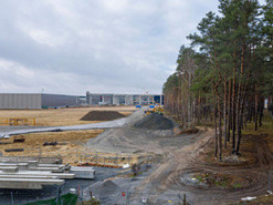 В Германии разрешили Tesla вырубить лес ради завода