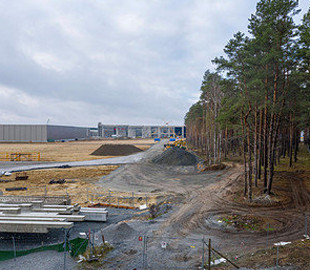 В Германии разрешили Tesla вырубить лес ради завода