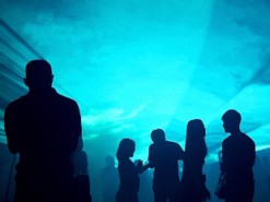 Финляндия запускает Аврору — виртуального помощника для граждан