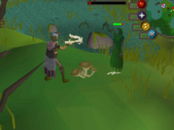 Игрок Runescape потратил $62 000 в игре и влез в долги