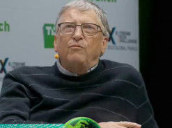 Билл Гейтс: NFT основаны на теории большого дурака