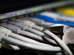 Сайты украинских госструктур заработали: названа причина сбоя