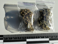 Патрульні Київщини продовжують виявляти у громадян заборонені речовини (ФОТО)