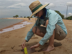 Дроны будут искать смертоносных медуз