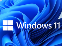 Microsoft начала менять приложения под Windows 11