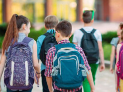 Дистанционка не улучшит уровень знаний, - образовательный комитет Рады