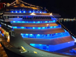 Одна з найбагатших турецьких жінок трагічно загинула на круїзному лайнері в Тихому океані