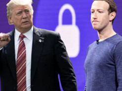 Трамп тайно встречался с Цукербергом в Белом доме