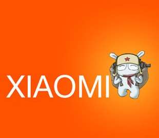Xiaomi хочет отсудить права на одноименные сайты в Украине