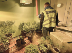 Київські правоохоронці припинили діяльність наркоугруповання