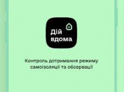 Сиди дома. Как будет работать приложение для борьбы с коронавирусом