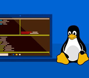 Windows 10 научилась запускать любые Linux-приложения