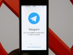 Германия проверит местонахождение активов Telegram
