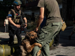 Знесилена собака обіймає ногу рятувальника: фотограф Данило Павлов розповів історію знімка з Херсона, який облетів увесь світ