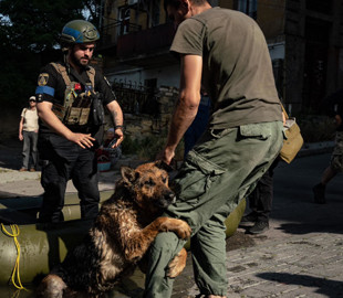 Знесилена собака обіймає ногу рятувальника: фотограф Данило Павлов розповів історію знімка з Херсона, який облетів увесь світ