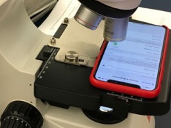 Вот как выглядит экран iPhone X под микроскопом