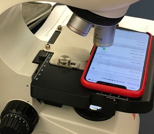 Вот как выглядит экран iPhone X под микроскопом