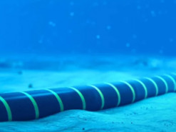 Збій Facebook і обрив кабелів у Червоному морі: як пов'язані ці події та на що чекати Україні