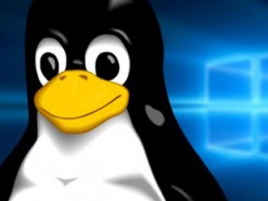 Для Windows 10 создан первый специальный дистрибутив Linux