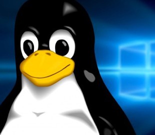 Для Windows 10 создан первый специальный дистрибутив Linux