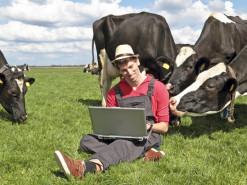 Интернет-провайдеры предлагают свои уточнения по порядку выдачи субвенций на сельский интернет