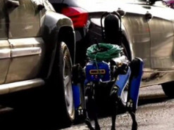 Полиция Нью-Йорка задействовала четвероногого робота Boston Dynamics во время опасного задания