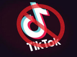 Американские сотрудники TikTok будут судиться с Трампом из-за блокировки приложения